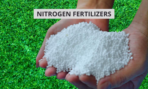 nitrogen fertilizers in agriculture