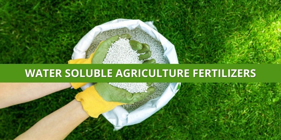 Water Soluble Fertilizer Supplier In Brazil Mexico