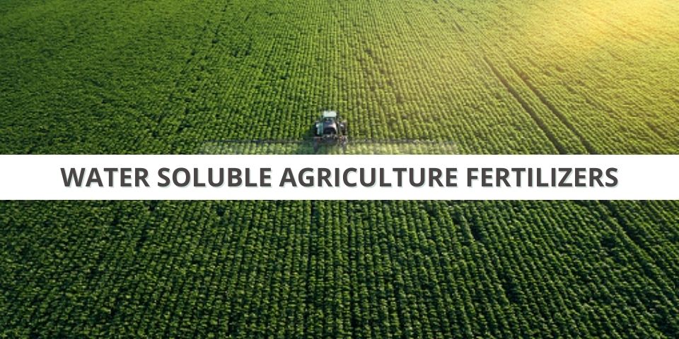 Water Soluble Fertilizer Supplier In USA