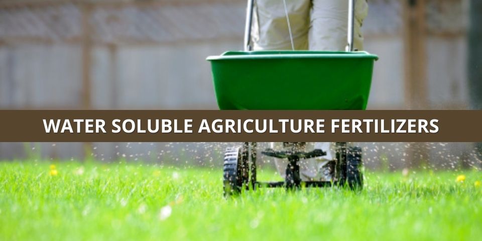 Water Soluble Fertilizer Pricelist In India