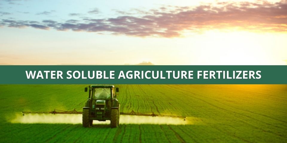 Water Soluble Fertilizer Online Supplier In India
