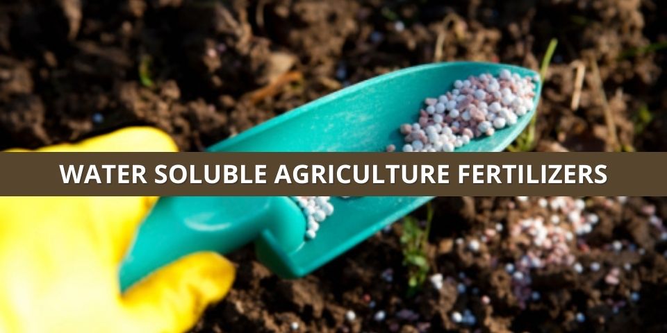 Water Soluble Fertilizer Price In Tamil Nadu India