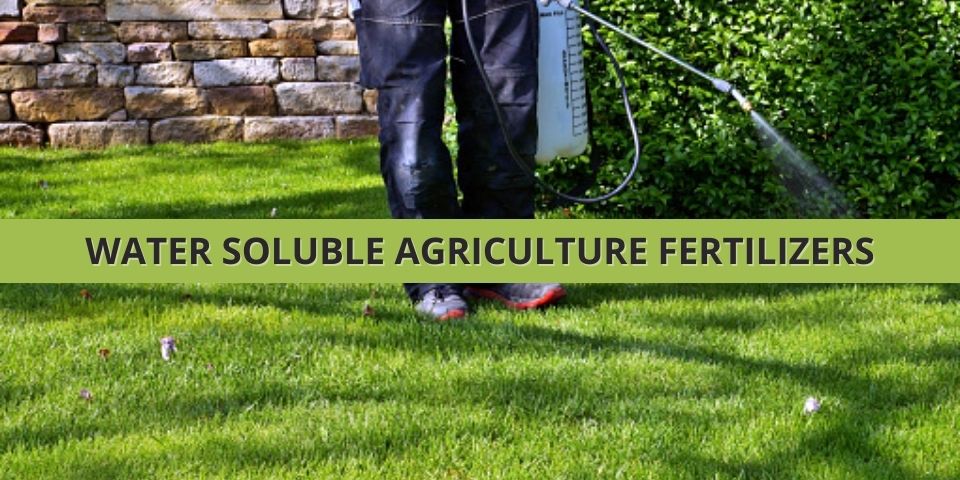 Water Soluble Fertilizer Price In Malaysia