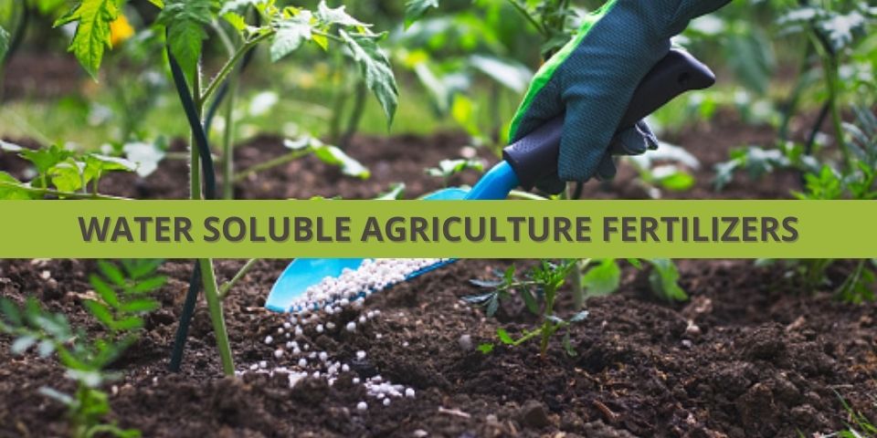 Water Soluble Fertilizer Price In Gujarat India