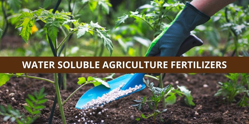 Water Soluble Fertilizer Price Per Ton