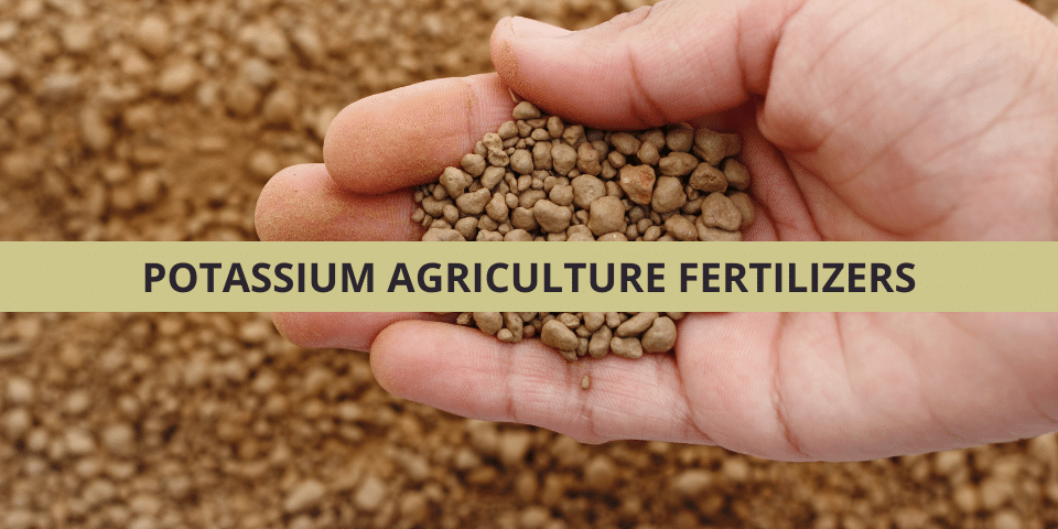 Potassium Fertilizer Price In India
