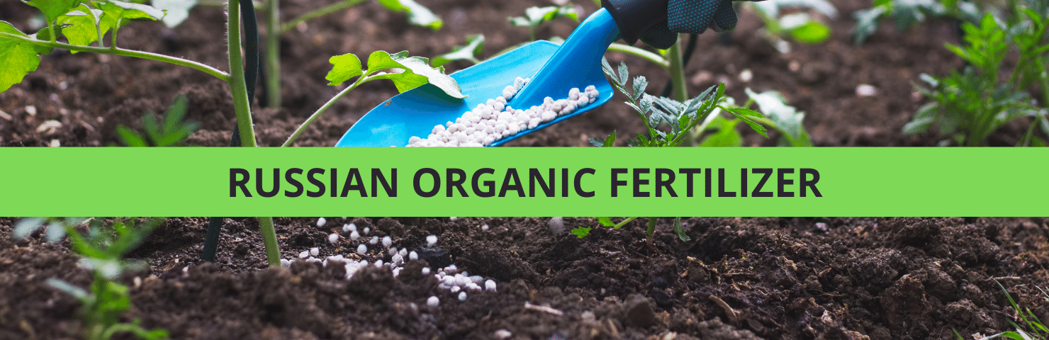Phosphorus Fertilizer For Tomatoes and Cucumbers Growth