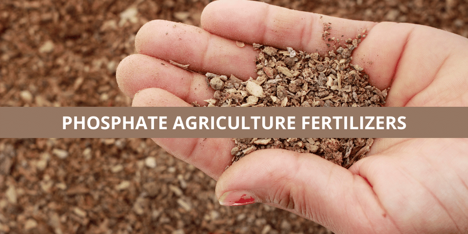 plant growth phosphate fertilizer price online